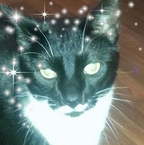 Meet your Posher, Lorelle